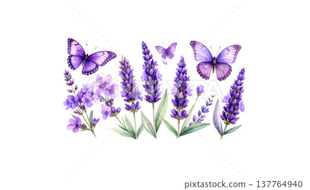 Illustration of butterflies and flowers on a white background. Illustration of butterflies and flowers on a white background. 137764940