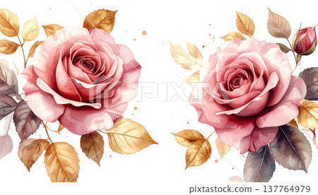 A beautiful bouquet of pink roses on a white background. A beautiful bouquet of pink roses on a white background. 137764979