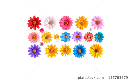 This beautiful natural bouquet features vibrant pink, yellow, and white gerberas with their multicolored petals against a white background. 137765279