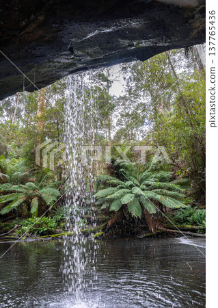 Kalimna Falls along Cumberland River trek, Great Ocean Road, Australia Kalimna Falls along Cumberland River trek, Great Ocean Road, Australia 137765436