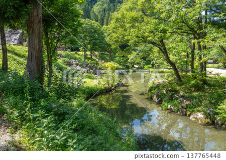 Traditional pond and houses in Shirakawa-go, Japan in summer Traditional pond and houses in Shirakawa-go, Japan in summer 137765448