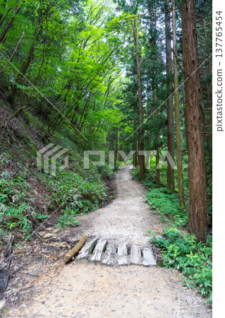 Hiking trail through the Nakasendo between Magome and Tsumago, Japan Hiking trail through the Nakasendo between Magome and Tsumago, Japan 137765454