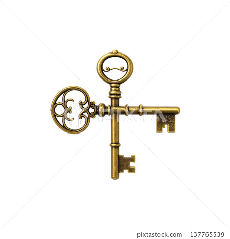 A gold metal house key on a white background. A gold metal house key on a white background. 137765539