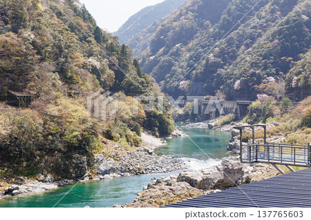 櫻花盛開時,大步川和小步川一帶的景色美不勝收。 櫻花盛開時,大步川和小步川一帶的景色美不勝收。 137765603