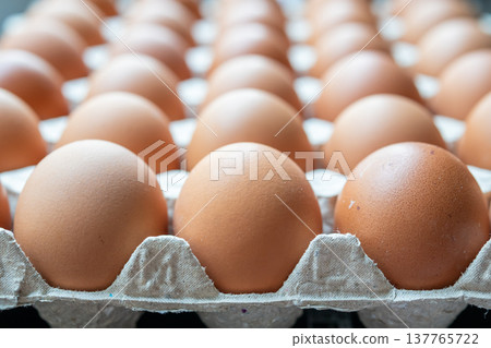 Fresh organic brown chicken eggs in cardboard tray 137765722