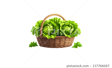 Fresh, green organic lettuce is placed separately against a white background. 137766087