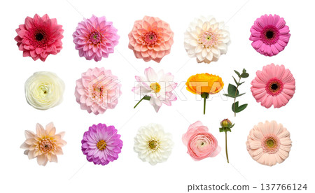 A seamless floral pattern, featuring striking bouquets of colorful summer garden flowers. 137766124