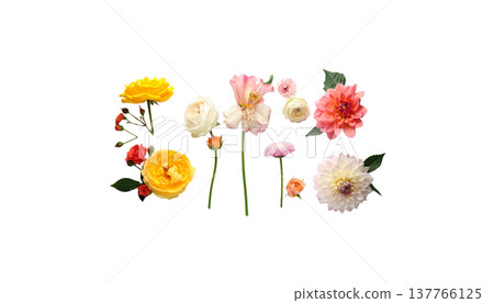 A seamless floral pattern, featuring striking bouquets of colorful summer garden flowers. 137766125