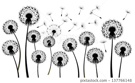 A macro illustration of a fluffy dandelion with scattered seeds, isolated against a white background. A macro illustration of a fluffy dandelion with scattered seeds, isolated against a white background. 137766148
