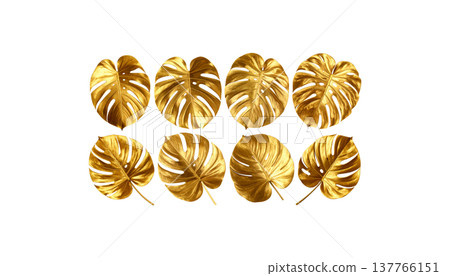 round frame made of leaves round frame made of leaves 137766151