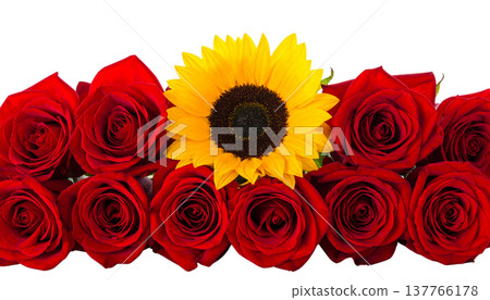 bouquet of red roses 137766178