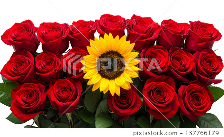 bouquet of red roses 137766179