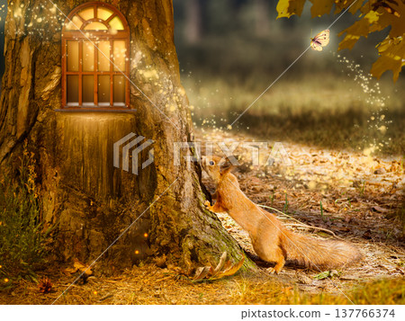 Squirrel near Fantasy house in pine tree with window, magical fairy tale Forest with cute animal. Squirrel near Fantasy house in pine tree with window, magical fairy tale Forest with cute animal. 137766374