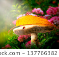 Fantasy magical Mushroom glade and Ladybugs in enchanted fairy tale dreamy Forest. 137766382