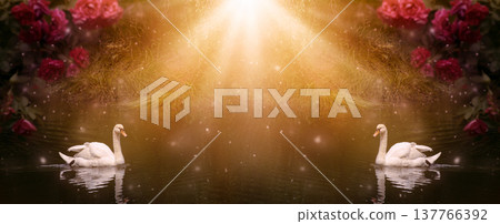 Swan swimming in lake, fantasy magical enchanted fairy tale landscape with two elegant white birds Swan swimming in lake, fantasy magical enchanted fairy tale landscape with two elegant white birds 137766392