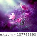 Fantasy Eustoma flowers garden in enchanted fairy tale dreamy dusk on mysterious floral background 137766393