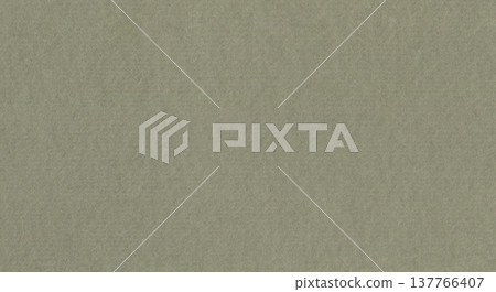Gray paper texture background. Recycled kraft cardboard. Beige canvas with small speckles. Rectangle textured sheet. Vintage grunge paper backdrop Gray paper texture background. Recycled kraft cardboard. Beige canvas with small speckles. Rectangle textured sheet. Vintage grunge paper backdrop 137766407