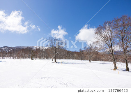 冬季長野縣奧志賀高原的雪景。 冬季長野縣奧志賀高原的雪景。 137766423