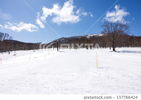 A snowy landscape of Okushiga Plateau in winter, Nagano Prefecture. A snowy landscape of Okushiga Plateau in winter, Nagano Prefecture. 137766424
