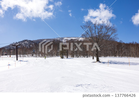 A snowy landscape of Okushiga Plateau in winter, Nagano Prefecture. A snowy landscape of Okushiga Plateau in winter, Nagano Prefecture. 137766426