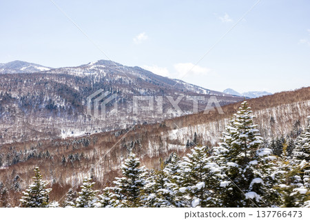 Snowscape of Shiga Kogen in winter, Nagano Prefecture Snowscape of Shiga Kogen in winter, Nagano Prefecture 137766473