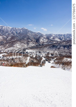 Snowscape of Shiga Kogen in winter, Nagano Prefecture 137766475