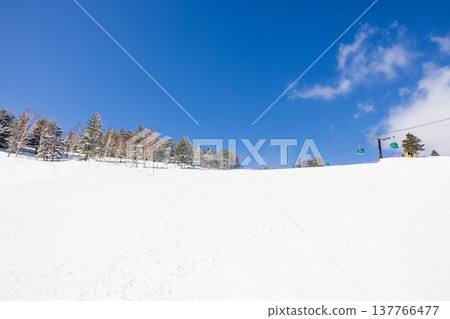 Snowscape of Shiga Kogen in winter, Nagano Prefecture Snowscape of Shiga Kogen in winter, Nagano Prefecture 137766477