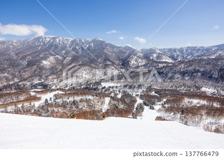 Snowscape of Shiga Kogen in winter, Nagano Prefecture 137766479