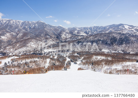 Snowscape of Shiga Kogen in winter, Nagano Prefecture Snowscape of Shiga Kogen in winter, Nagano Prefecture 137766480