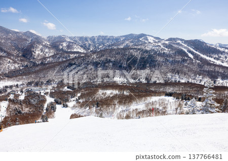 Snowscape of Shiga Kogen in winter, Nagano Prefecture Snowscape of Shiga Kogen in winter, Nagano Prefecture 137766481