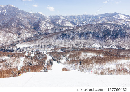 Snowscape of Shiga Kogen in winter, Nagano Prefecture 137766482