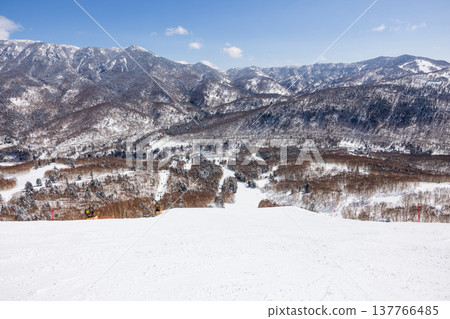 Snowscape of Shiga Kogen in winter, Nagano Prefecture Snowscape of Shiga Kogen in winter, Nagano Prefecture 137766485