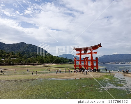 嚴島神社(廣島/宮島) 嚴島神社(廣島/宮島) 137766532