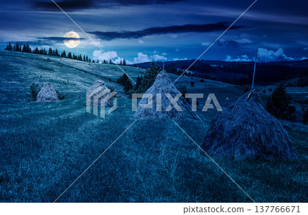 wonderful haystacks in a row on a grassy hay field at night. full moon over beautiful rural scenery with pasture in summer. mysterious agriculture landscape with rolling hills under cloudy sky wonderful haystacks in a row on a grassy hay field at night. full moon over beautiful rural scenery with pasture in summer. mysterious agriculture landscape with rolling hills under cloudy sky 137766671