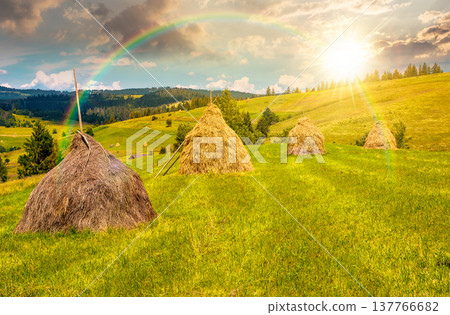 sunset over wonderful haystacks in a row on a grassy hay field. beautiful rural scenery with pasture in summer. traditional agriculture landscape with rolling hills under cloudy sky and rainbow sunset over wonderful haystacks in a row on a grassy hay field. beautiful rural scenery with pasture in summer. traditional agriculture landscape with rolling hills under cloudy sky and rainbow 137766682