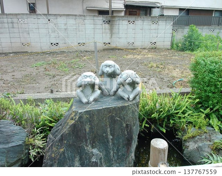 Resident of Shibamata 137767559