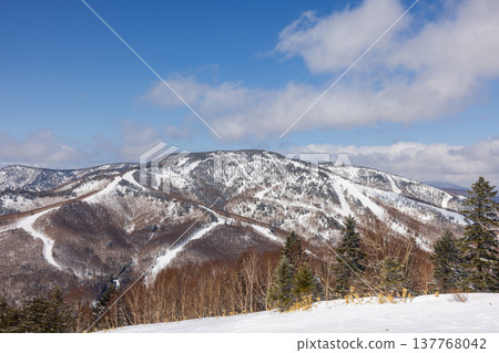 Snowscape of Shiga Kogen in winter, Nagano Prefecture Snowscape of Shiga Kogen in winter, Nagano Prefecture 137768042