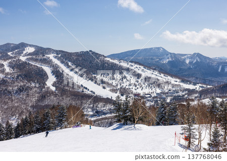 長野縣志賀高原冬季雪景 長野縣志賀高原冬季雪景 137768046