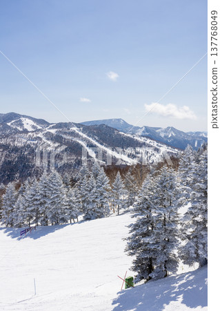 長野縣志賀高原冬季雪景 長野縣志賀高原冬季雪景 137768049