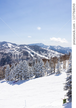 長野縣志賀高原冬季雪景 長野縣志賀高原冬季雪景 137768050