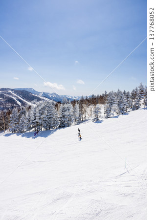 長野縣志賀高原冬季雪景 長野縣志賀高原冬季雪景 137768052