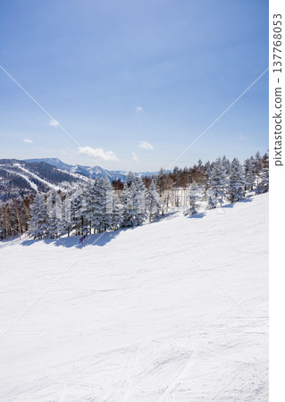 長野縣志賀高原冬季雪景 長野縣志賀高原冬季雪景 137768053