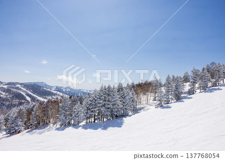 Snowscape of Shiga Kogen in winter, Nagano Prefecture Snowscape of Shiga Kogen in winter, Nagano Prefecture 137768054