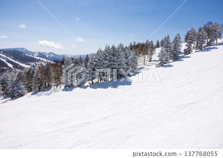Snowscape of Shiga Kogen in winter, Nagano Prefecture Snowscape of Shiga Kogen in winter, Nagano Prefecture 137768055