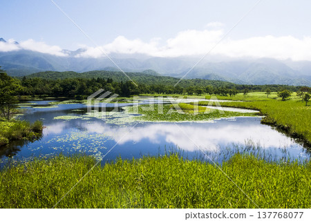 Blue sky reflected in the lake - Shiretoko Five Lakes, summer in Hokkaido Blue sky reflected in the lake - Shiretoko Five Lakes, summer in Hokkaido 137768077