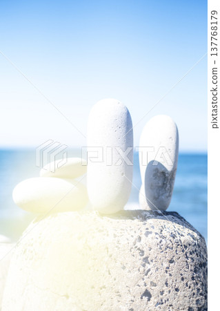 Scenery with stones Nariishi Beach (Kotoura Town) 137768179