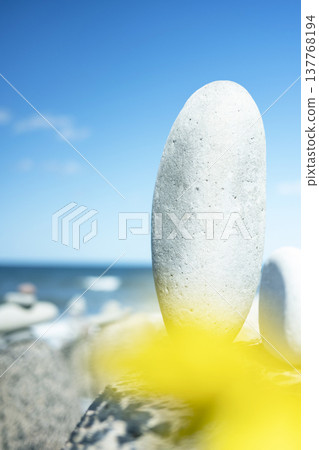 石頭的風景成石海灘（琴浦町） 137768194