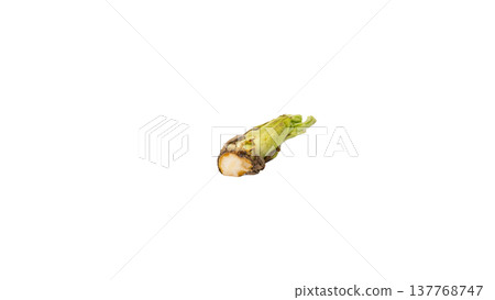 Aralia elata shoots (a type of wild vegetable), spring mountain vegetable, macro photography, transparent background. 137768747