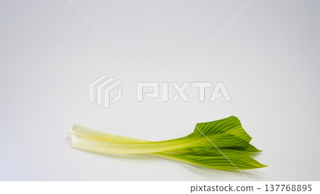 Spring wild vegetable, Urui (a type of wild vegetable), macro photography, white background. Spring wild vegetable, Urui (a type of wild vegetable), macro photography, white background. 137768895