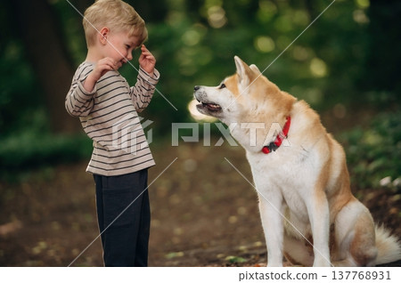 Enjoying the nature, standing. Little boy is with Shiba Inu dog in the forest 137768931